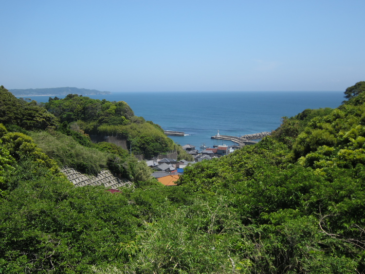IMG_5686.jpg - 勝浦