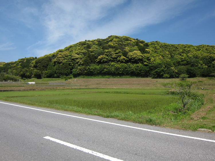 IMG_5703.jpg -  勝浦市小羽戸 