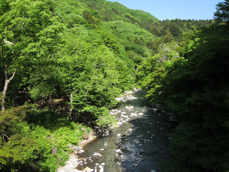 IMG_5727.jpg