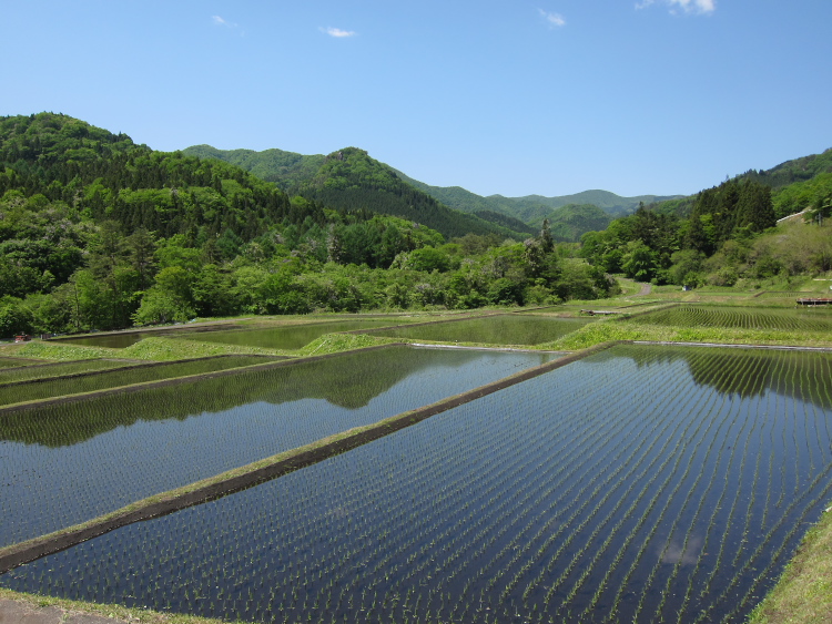 IMG_5783.jpg - 暮坂峠へ向かう、沢渡温泉付近