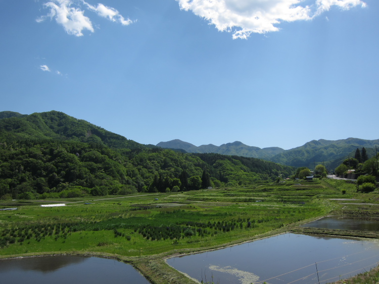 IMG_5830.jpg - 須賀尾