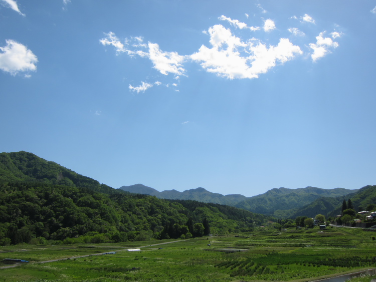 IMG_5834.jpg - 須賀尾