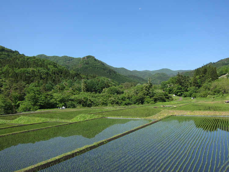 IMG_5878.jpg - 暮坂峠へ向かう