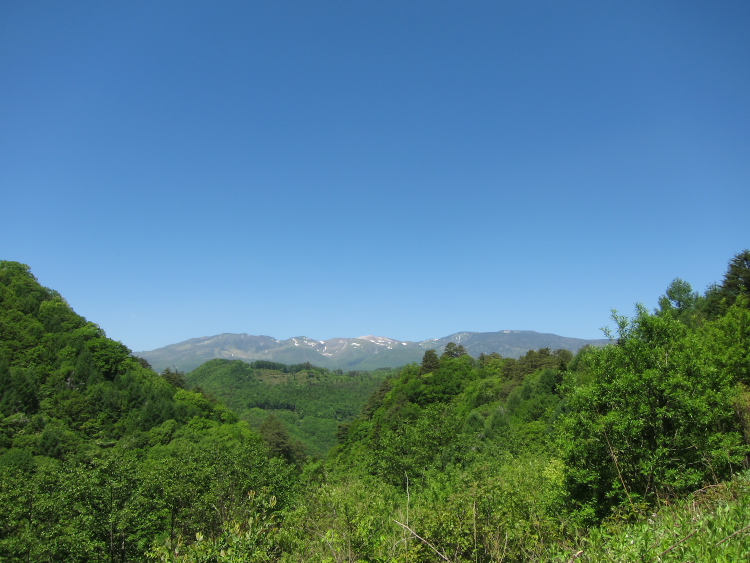 IMG_5893.jpg