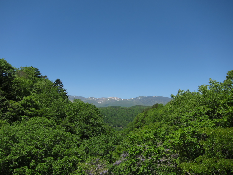 IMG_5904.jpg