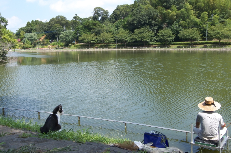 IMGP1129.jpg