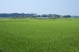 IMGP0479