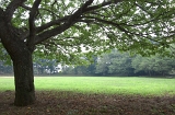 IMGP0577