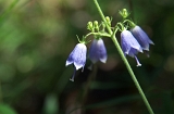 IMGP1073