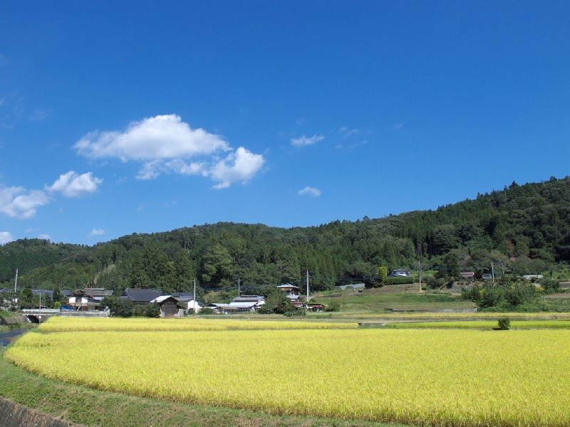 IMG_2836.jpg - 那須烏山市　小木須