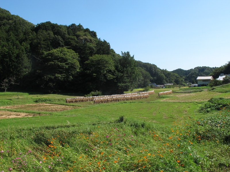 IMG_2837.jpg - 茂木町