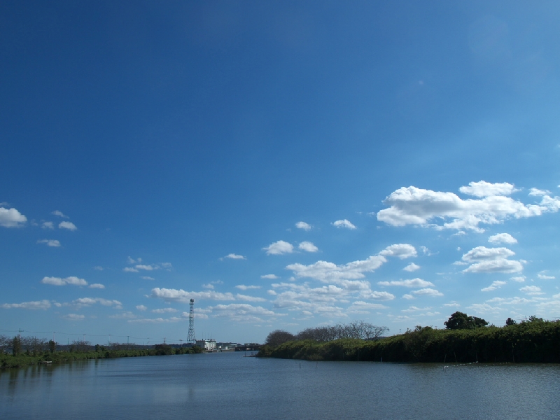 IMG_2881.jpg - 長門川