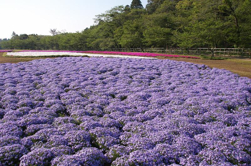 IMGP9784.jpg - 富田都市農業交流センター