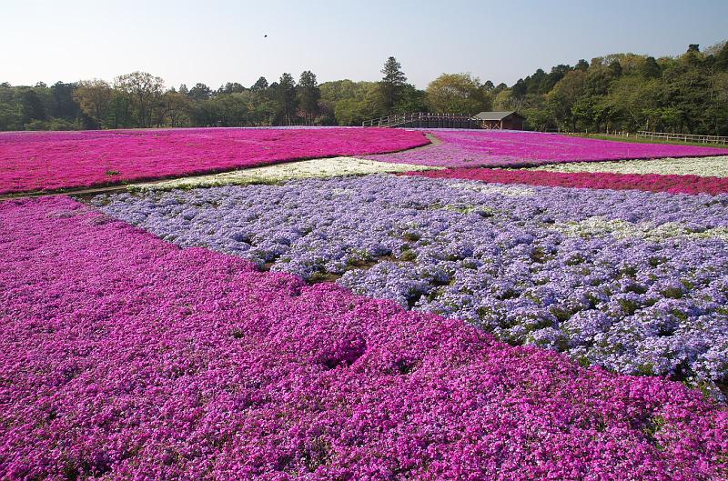 IMGP9795.jpg - 富田都市農業交流センター