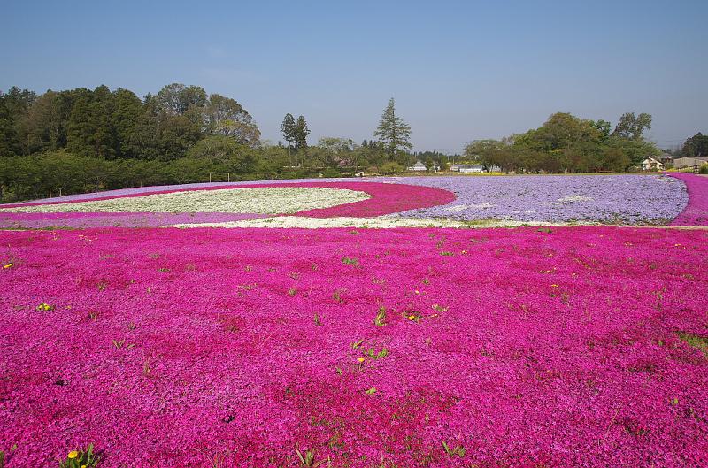 IMGP9801.jpg - 富田都市農業交流センター