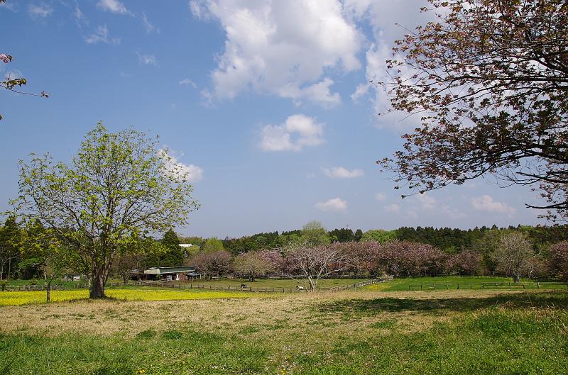 IMGP9876.jpg - 秋元牧場