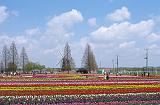 IMGP9369