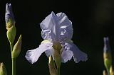IMGP0863
