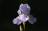 IMGP0864
