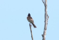 ６月２０日　小見川～銚子～小見川