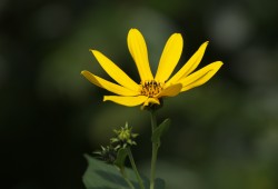 ９月１８日　手賀沼