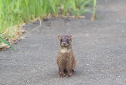 １０月２日　白井　
