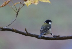 １０月２９日　さんぶの森公園、片貝漁港