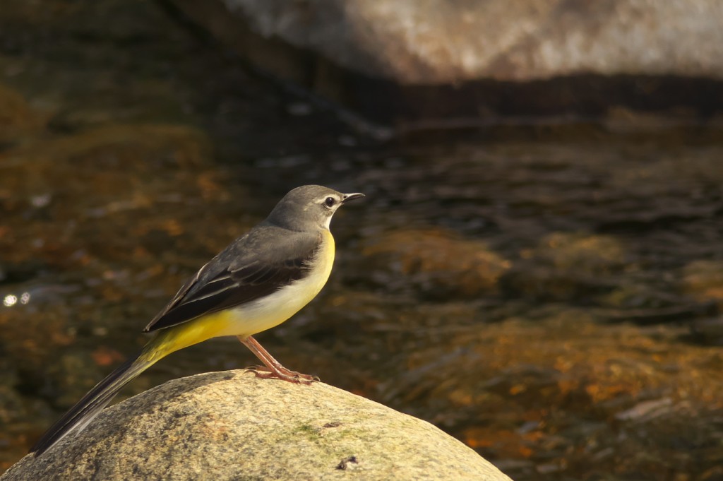 IMGP8805