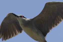 ６月２０日　竜ヶ崎付近