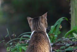 １０月１３日　秋元牧場～勝浦付近