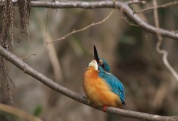 ２月１８日　大町～水元公園