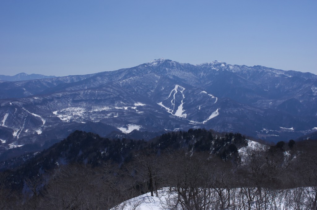 IMGP7847