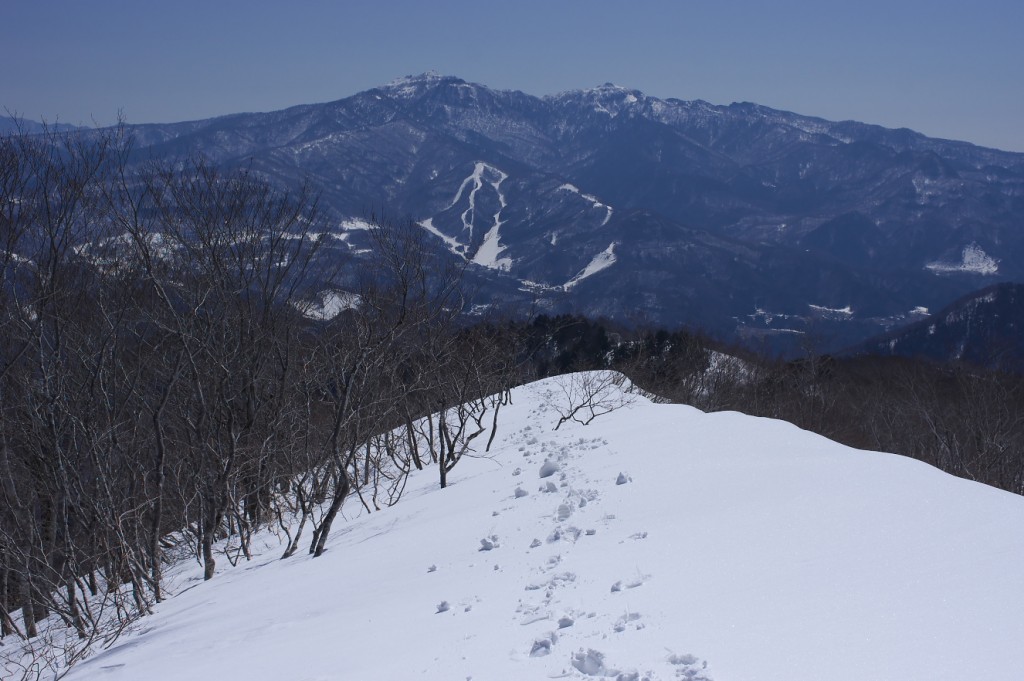 IMGP7863