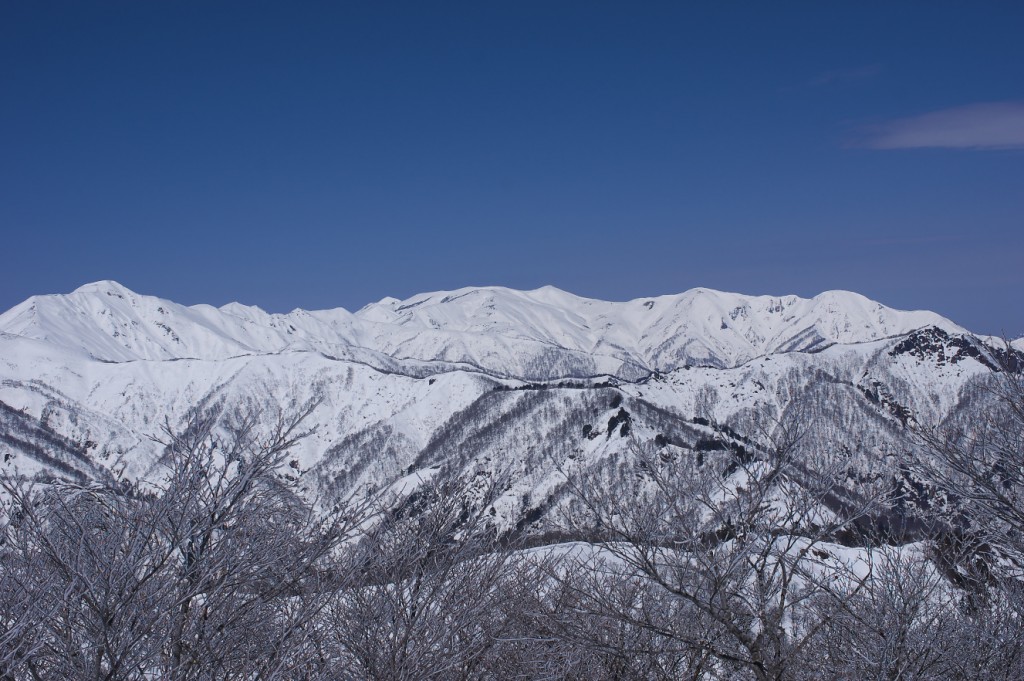 IMGP8015