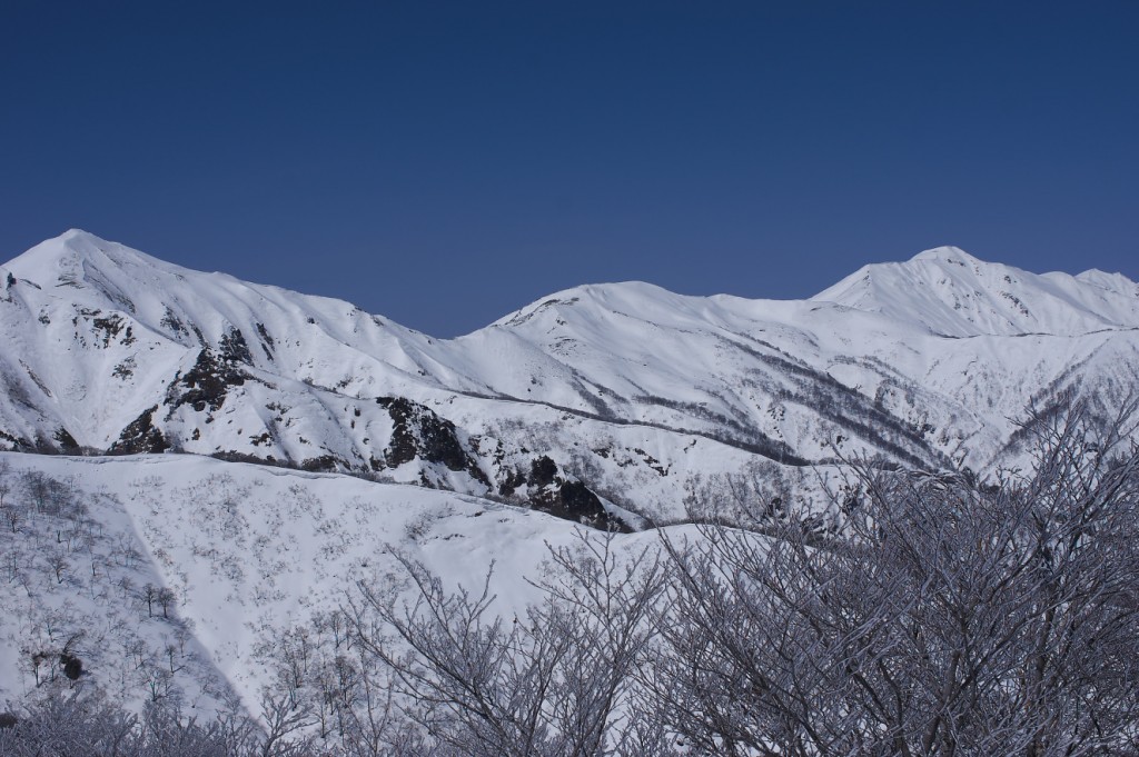IMGP8019