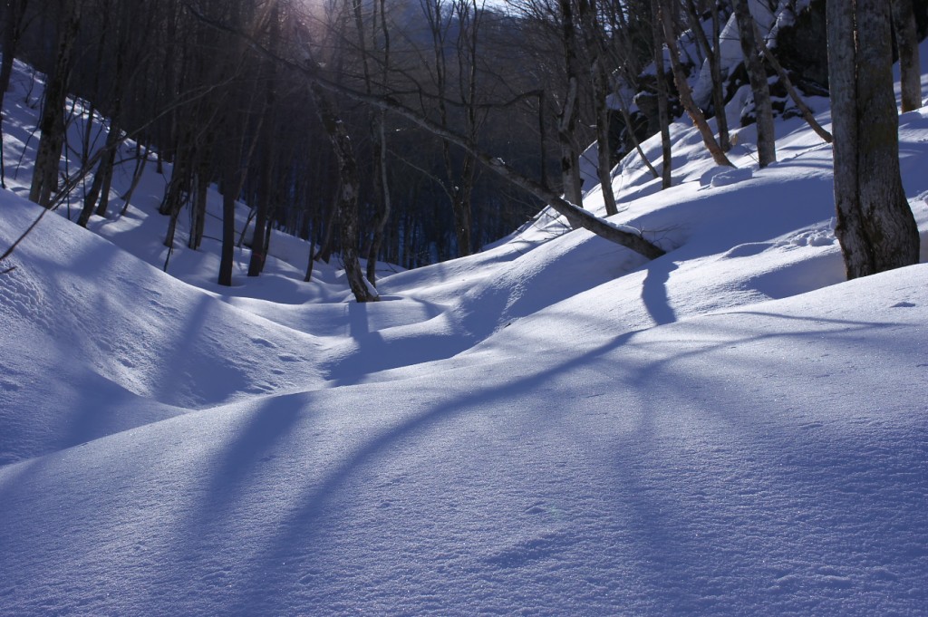 IMGP8477