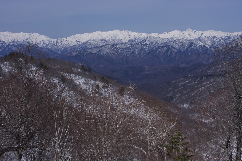 IMGP8558