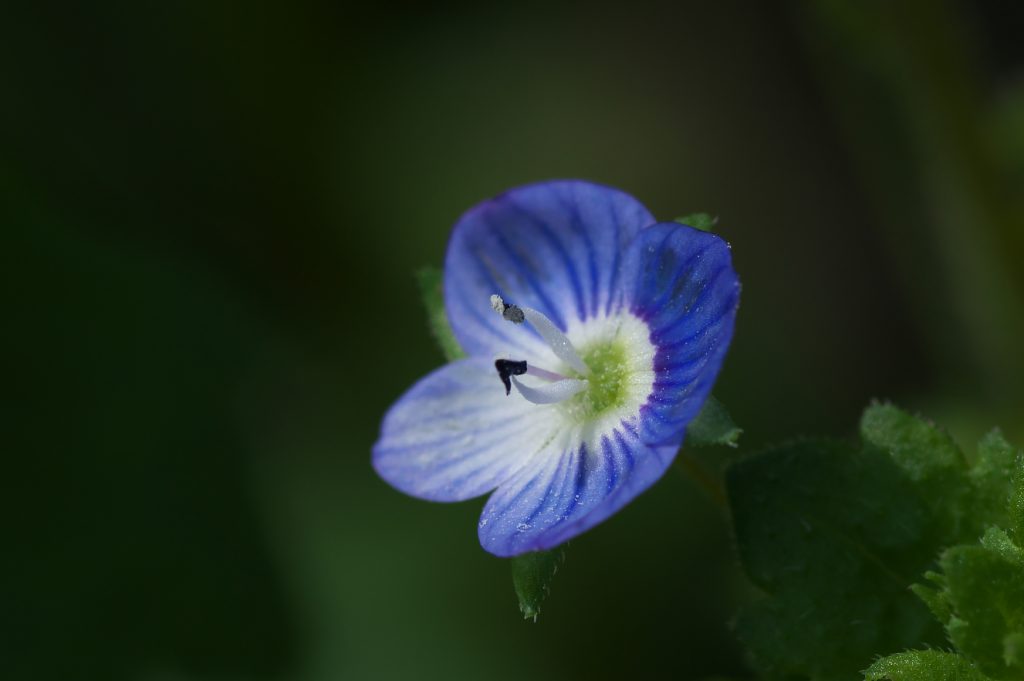 IMGP9174