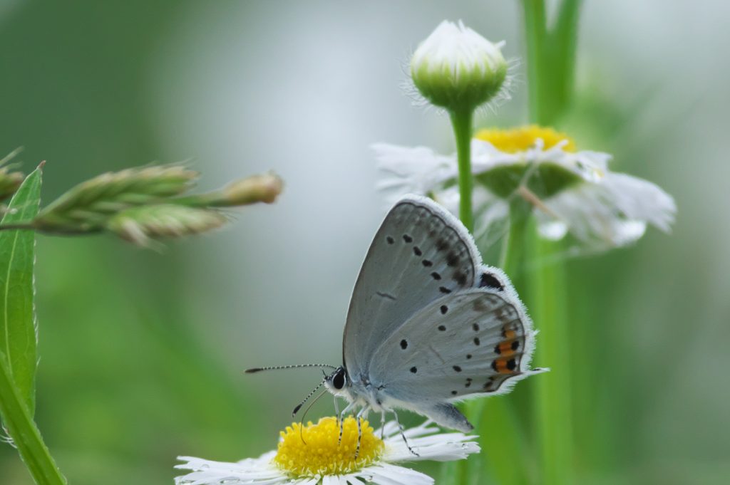 IMGP3770