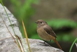 １０月２９日　房総の村