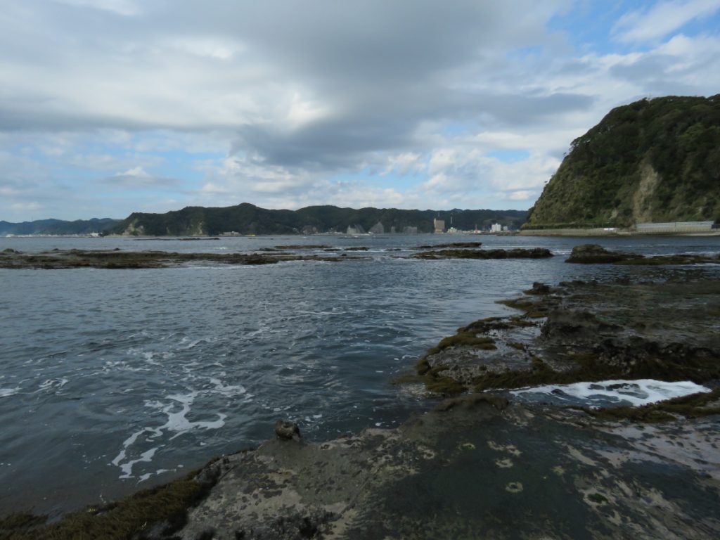 img_4791
