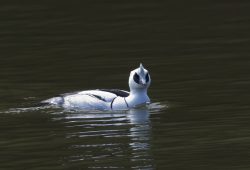 ２月２４日　坂田が池公園