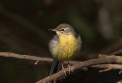 １月３０日　大町公園