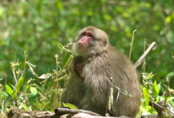 ２０２５年６月