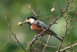 ２０２５年１０月