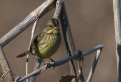 ２０２５年１１月